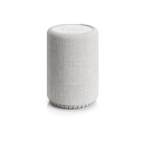 AUDIO PRO G10 14621 light grey