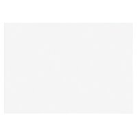 BIELLA Cartes-fiches blanco A8 23008000U blanc 200 pcs.