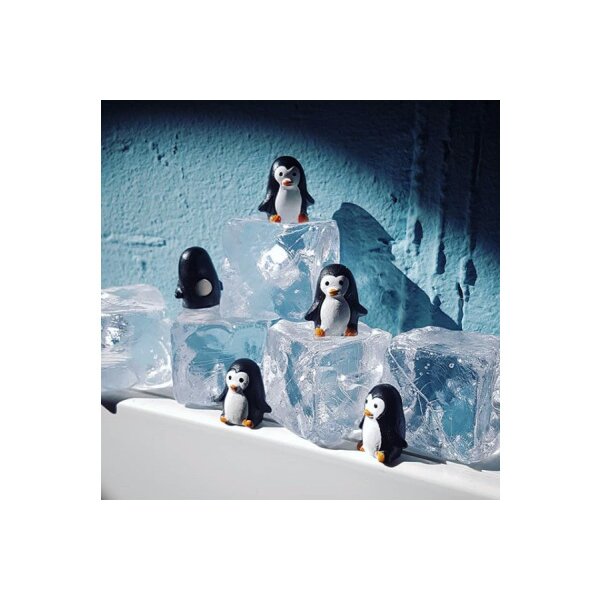 TRENDFORM Aimants PINGU FA4620 6 pcs.