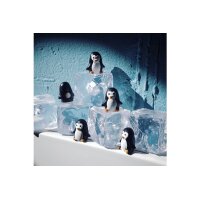 TRENDFORM Aimants PINGU FA4620 6 pcs.