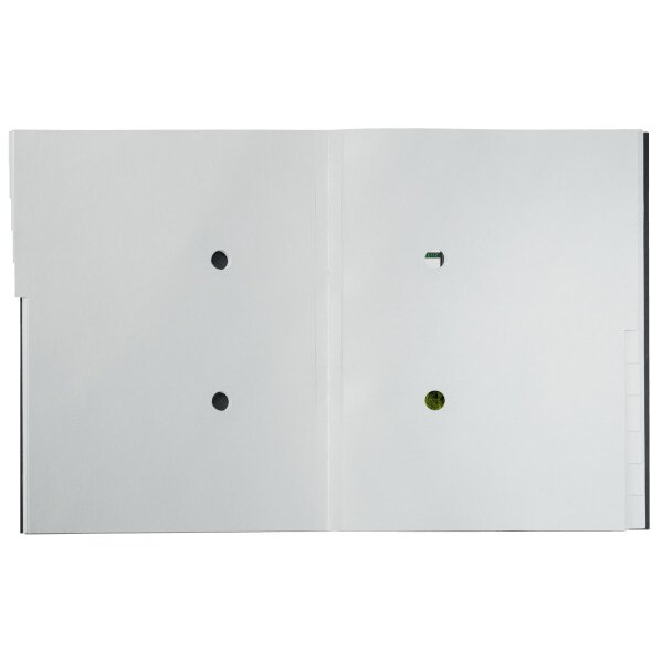 LEITZ Ordnungsmappe Recycle A4 3915-00-95 schwarz, Karton 12 Fächer