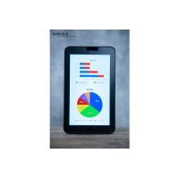 KAPSOLO 2H Anti-Bakt. Displayfilter KAP12011 Apple iPad...