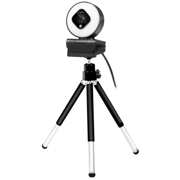 LogiLink Full-HD-USB-Webcam mit Dual-Mikrofon, schwarz