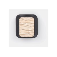 TALENS Perlglanzfarbe Finetec F0611C Perl Champagner Silber