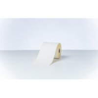 BROTHER Thermo-Etiketten 102mmx56.4m BDE1J000102102...