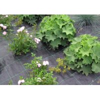 TerCasa Anti-Unkrautgewebe, 2 x 5 m, schwarz