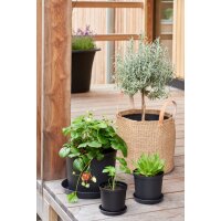 orthex Blumentopf CULTIVATE, Durchmesser: 120 mm, schwarz