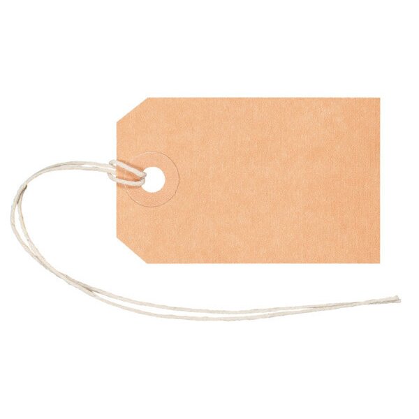 BIELLA Anhänge-Etiketten 35x55mm 56105500U braun 50 Stück