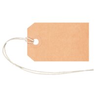 BIELLA Anhänge-Etiketten 35x55mm 56105500U braun 50...