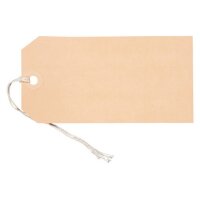 BIELLA Anhänge-Etiketten 65x130mm 56113000U braun 50...