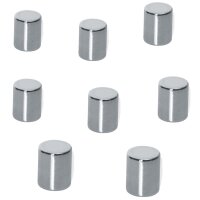 sigel Aimant en néodyme, cylindrique, 8 x 10 mm,...