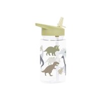 ALLC Trinkflasche 450ml DBDIGR33 Dinosaurs