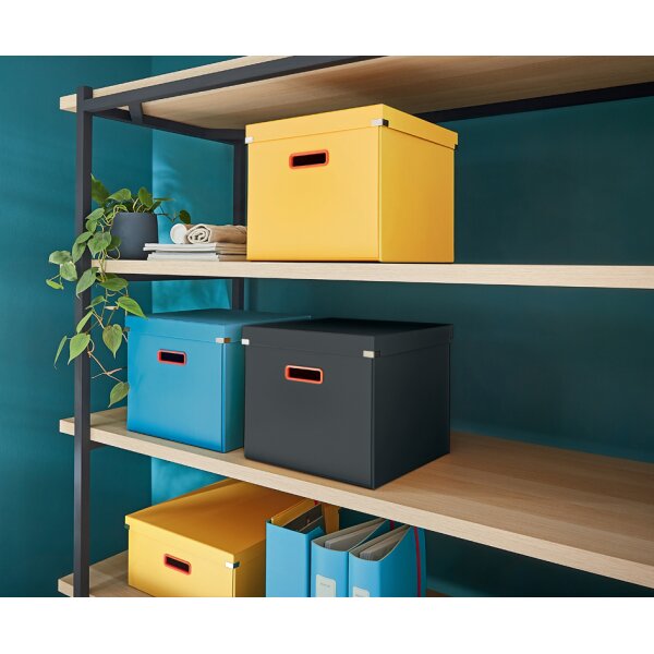 LEITZ Ablagebox Click & Store Cosy Cube, blau