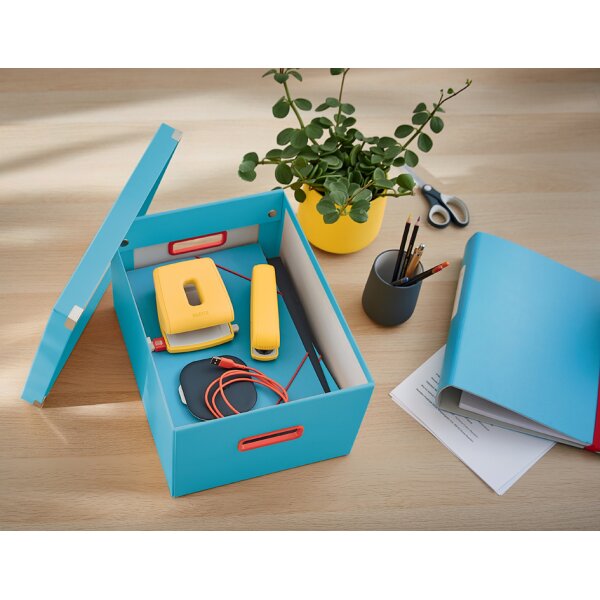 LEITZ Ablagebox Click & Store Cosy M, grau