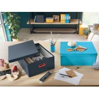 LEITZ Ablagebox Click & Store Cosy M, grau