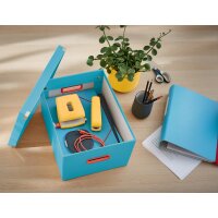 LEITZ Ablagebox Click & Store Cosy M, grau