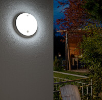 Brennenstuhl Lampe ronde à LED RL 1650 P, avec détecteur