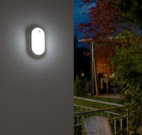 Brennenstuhl Lampe ovale à LED OL 1650, blanc