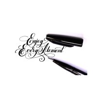 PentelArts Stylo de calligraphie Sign Pen Brush, noir