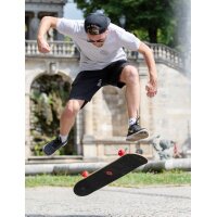 SCHILDKRÖT Skateboard Kicker 31" Red Parkour