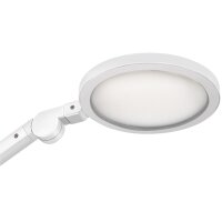 CEP LED Tischleuchte GIANT Silva, Eichen weiss