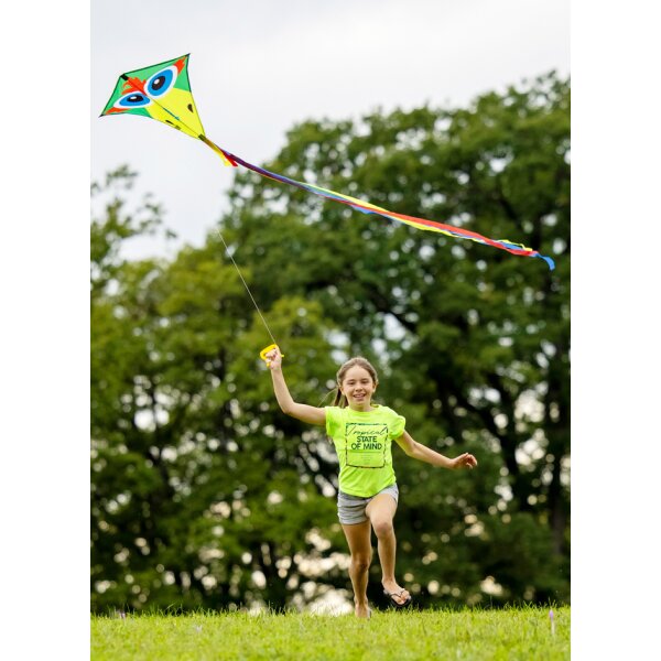 SCHILDKRÖT Cerf-volant acrobatique Classic Kite 70 Diamond