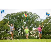 SCHILDKRÖT Taschendrachen Pocket Kite L