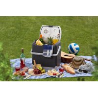 AEG Glacière KK 20, capacité: 20 litres, noir