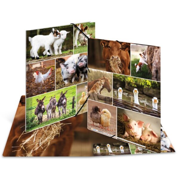 HERMA Chemise à élastiques Chevaux dans le pré, carton, A3