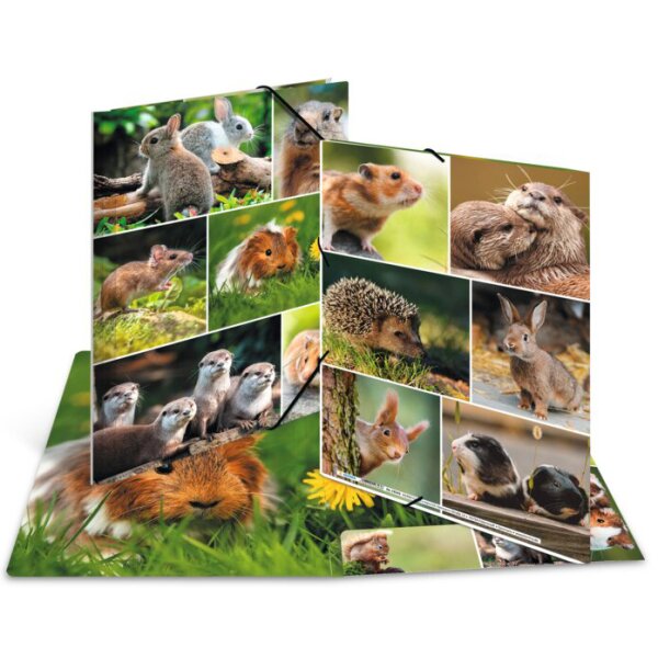 HERMA Chemise à élastiques Animaux de la forêt, carton, A4