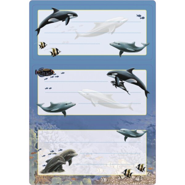 HERMA Étiquette pour livre VARIO Chevaux