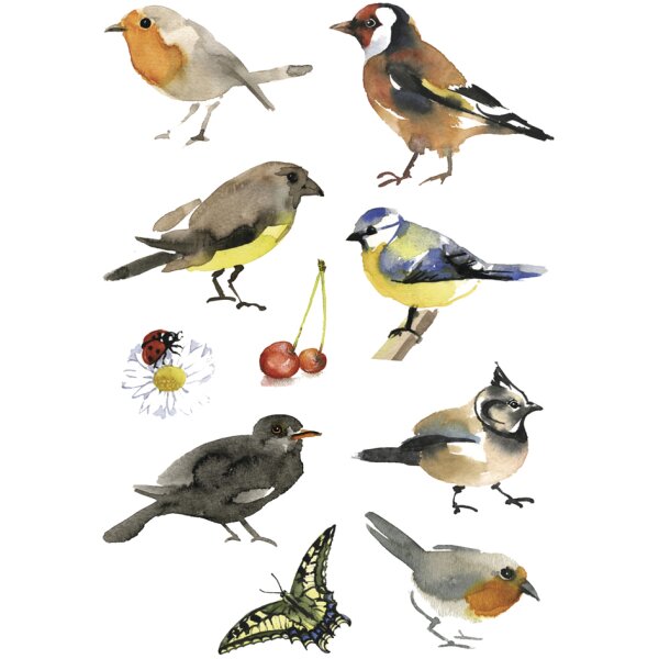 HERMA Sticker DECOR Oiseaux de chez nous