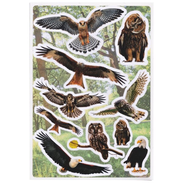 HERMA Sticker DECOR Oiseaux de chez nous