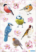 HERMA Sticker DECOR Oiseaux de chez nous
