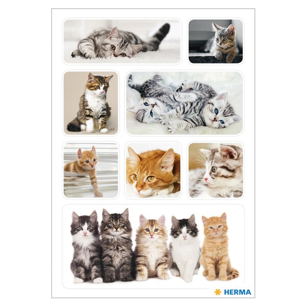 HERMA Autocollants DECOR Chatons