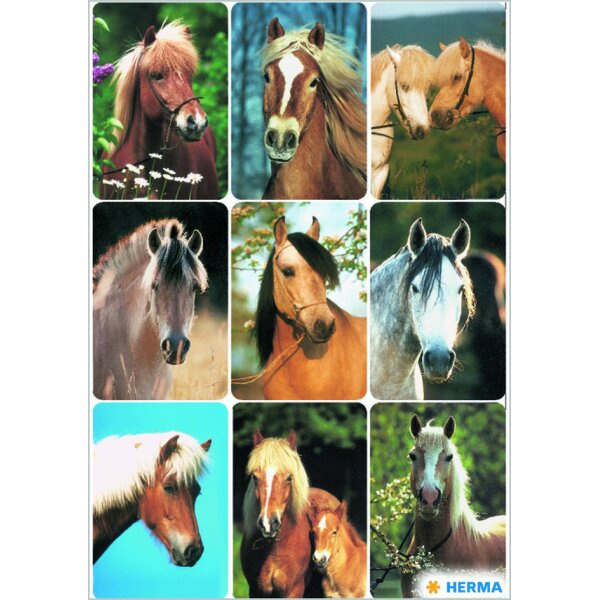 HERMA Sticker DECOR Têtes de chevaux