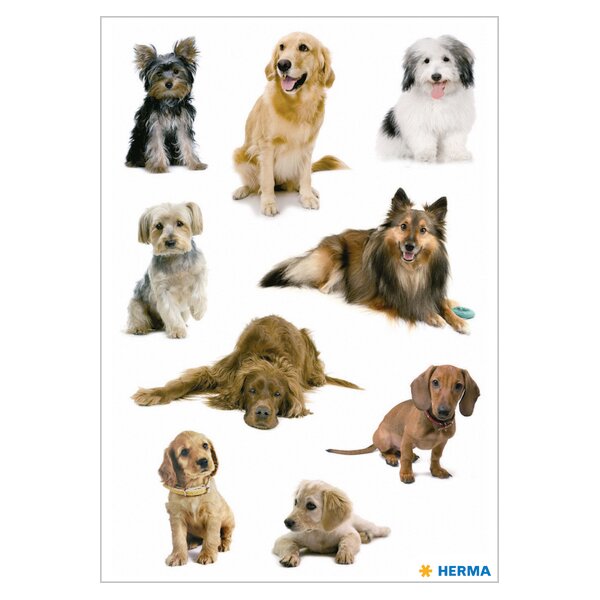 HERMA Autocollants DECOR Photos de chiens