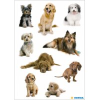 HERMA Autocollants DECOR Photos de chiens