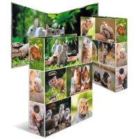 HERMA Classeur à levier Monde animal, Oiseaux