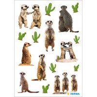 HERMA Autocollants DECOR Jungle