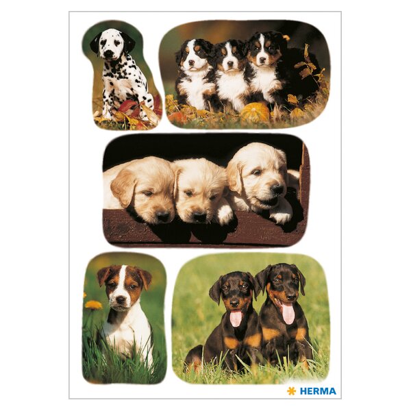 HERMA Autocollants DECOR Photos de chiots