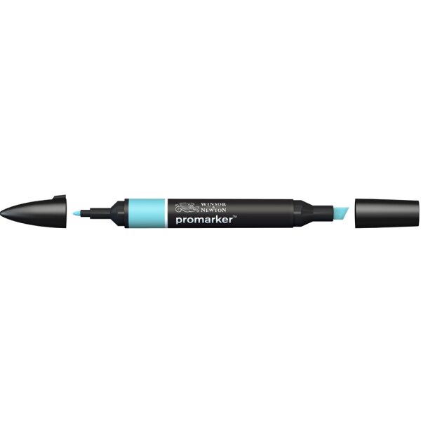 LEFRANC BOURGEOIS WINSOR &amp; NEWTON Promarker, oeuf de canard