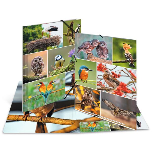 HERMA Chemise à élastiques Rongeurs, carton, A3