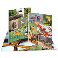 HERMA Chemise à élastiques Rongeurs,...