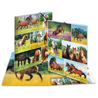 HERMA Chemise à élastiques Chevaux dans le...