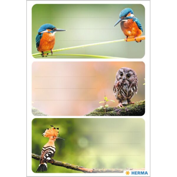 HERMA Étiquette pour livre VARIO Animaux de la forêt