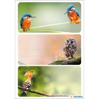 HERMA Étiquette pour livre VARIO Animaux de la forêt