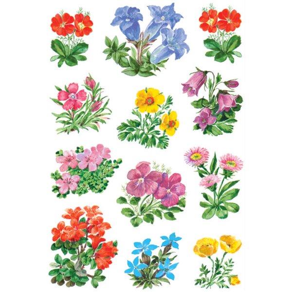 HERMA Autocollants DECOR Tournesols