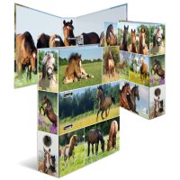 HERMA Classeur à levier Monde animal, Cheval dans...