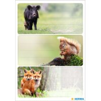 HERMA Étiquette pour livre Oiseaux